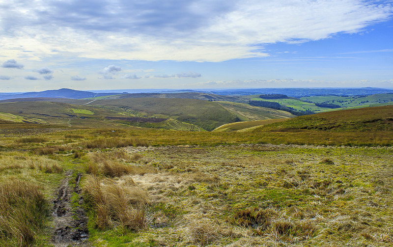 Danethorn Hollow